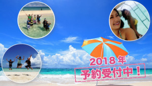 2018年予約受付中