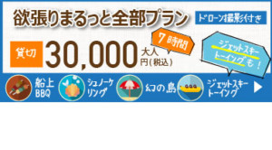 欲張りまるっと全部プランの料金